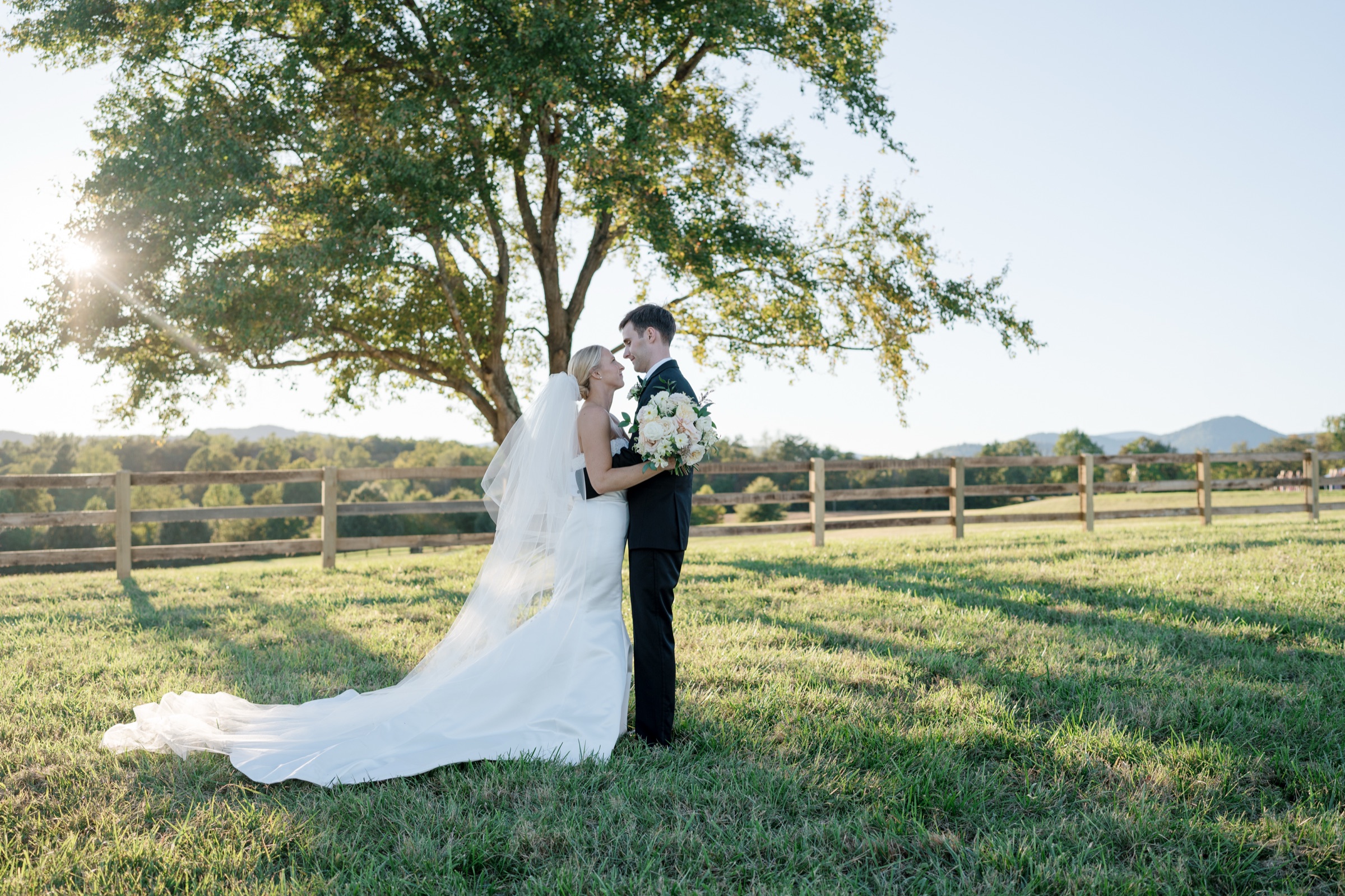 A couple under a big tree at golden hour, the fence line and the Blue Ridge behind them